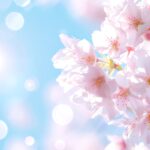 ホーム sakura_hero